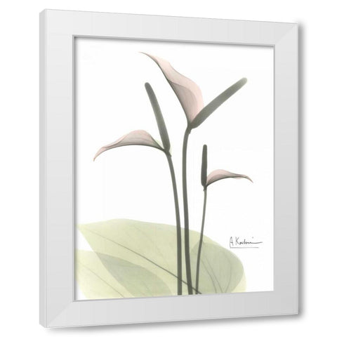 Flamingo in Color White Modern Wood Framed Art Print by Koetsier, Albert