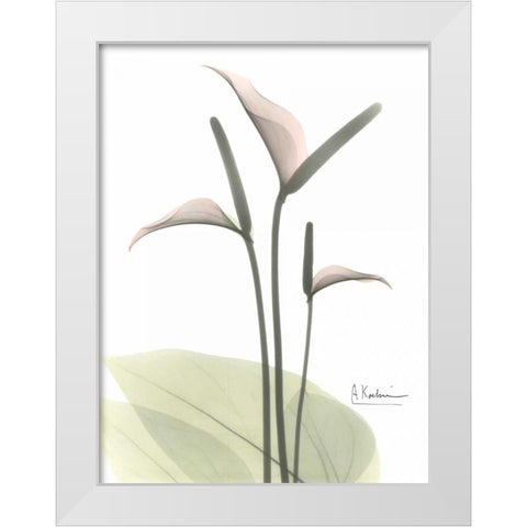 Flamingo in Color White Modern Wood Framed Art Print by Koetsier, Albert