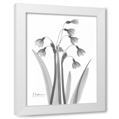 Snow Drop in BandW White Modern Wood Framed Art Print by Koetsier, Albert