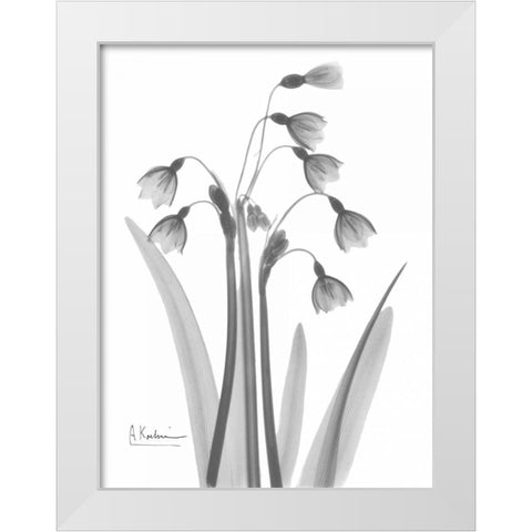 Snow Drop in BandW White Modern Wood Framed Art Print by Koetsier, Albert