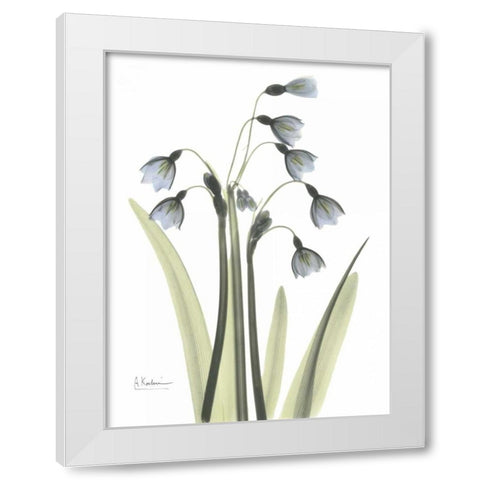 Snow Drop in Color White Modern Wood Framed Art Print by Koetsier, Albert