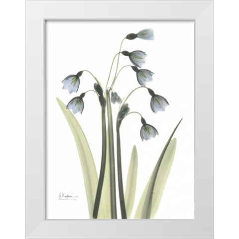 Snow Drop in Color White Modern Wood Framed Art Print by Koetsier, Albert