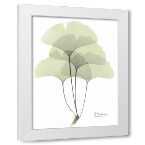 Gingko in Pale Green White Modern Wood Framed Art Print by Koetsier, Albert