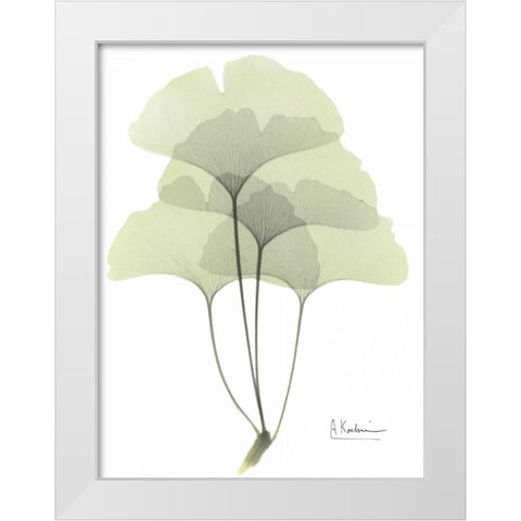 Gingko in Pale Green White Modern Wood Framed Art Print by Koetsier, Albert