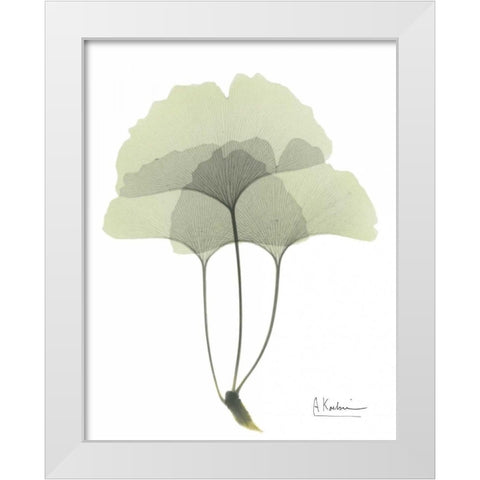 Gingko in Pale Green 3 White Modern Wood Framed Art Print by Koetsier, Albert