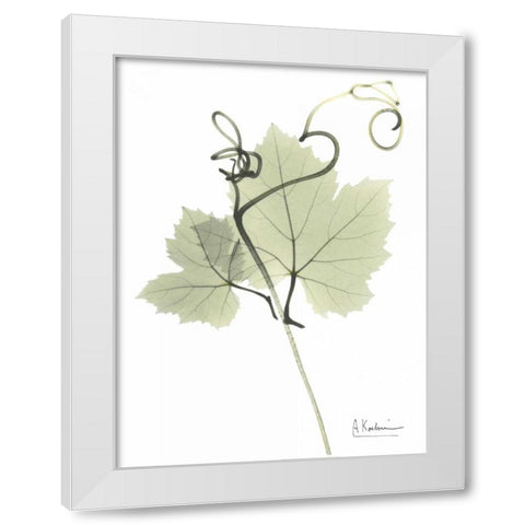 Grape Vine in Pale Green White Modern Wood Framed Art Print by Koetsier, Albert