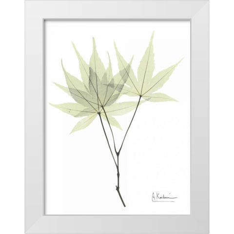 Japanese Maple in Pale Green White Modern Wood Framed Art Print by Koetsier, Albert