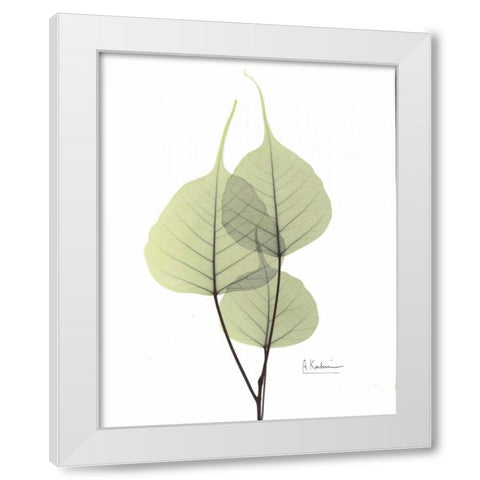 Bo Tree in Pale Green 2 White Modern Wood Framed Art Print by Koetsier, Albert