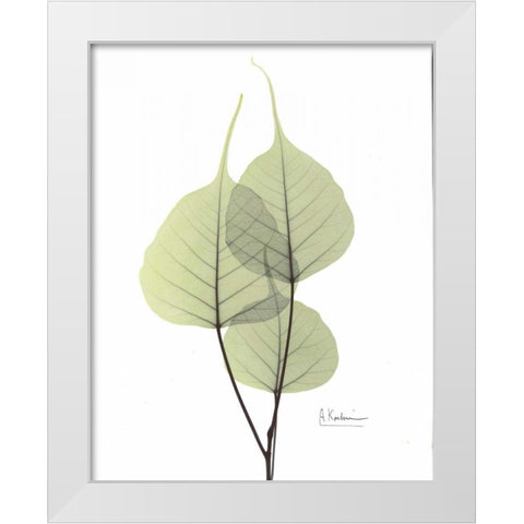 Bo Tree in Pale Green 2 White Modern Wood Framed Art Print by Koetsier, Albert