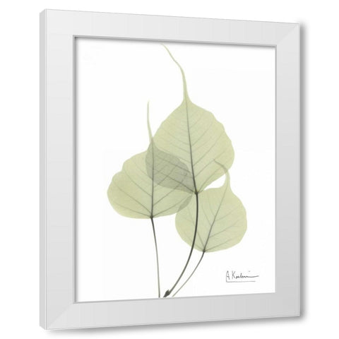 Bo Tree in Pale Green White Modern Wood Framed Art Print by Koetsier, Albert