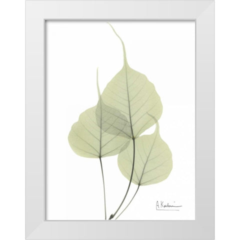 Bo Tree in Pale Green White Modern Wood Framed Art Print by Koetsier, Albert