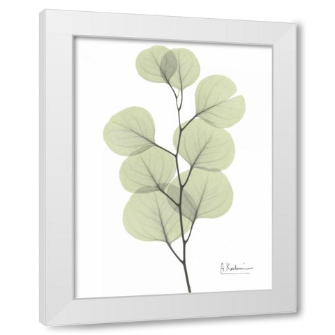 Eucalyptus in Pale Green White Modern Wood Framed Art Print by Koetsier, Albert