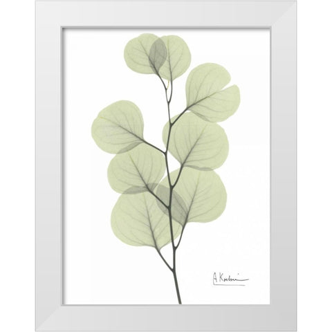 Eucalyptus in Pale Green White Modern Wood Framed Art Print by Koetsier, Albert