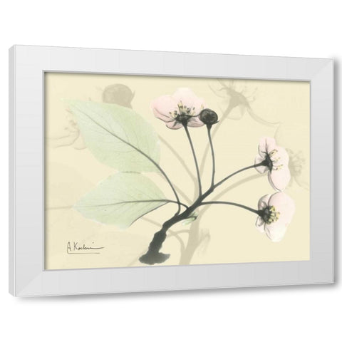 Wild Cherry on Beige White Modern Wood Framed Art Print by Koetsier, Albert