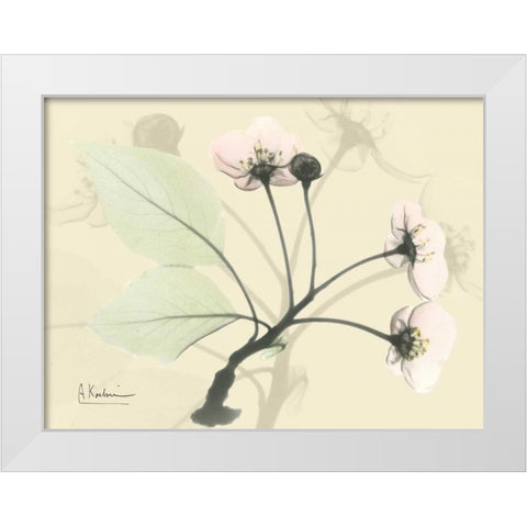 Wild Cherry on Beige White Modern Wood Framed Art Print by Koetsier, Albert