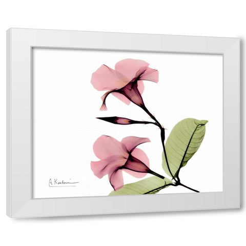 Pink Mandelila Bunch White Modern Wood Framed Art Print by Koetsier, Albert