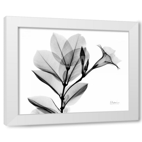 Mandelilla L265 White Modern Wood Framed Art Print by Koetsier, Albert