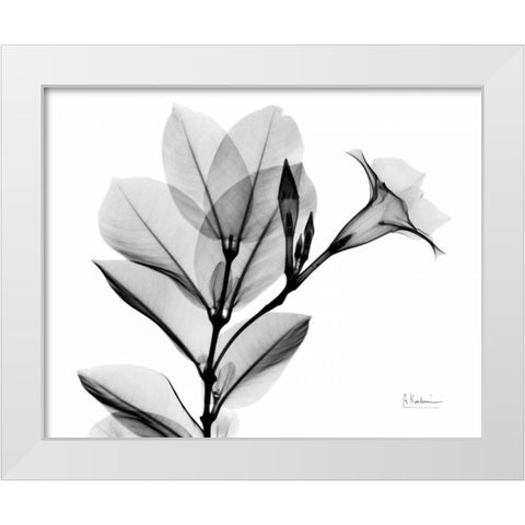 Mandelilla L265 White Modern Wood Framed Art Print by Koetsier, Albert