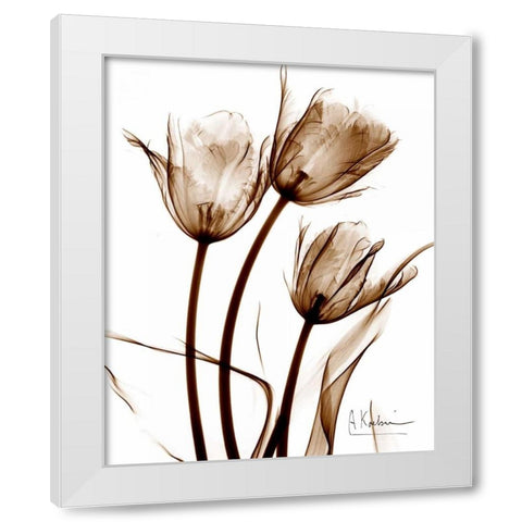 Tulip Arrangement in Brown White Modern Wood Framed Art Print by Koetsier, Albert