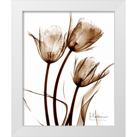 Tulip Arrangement in Brown White Modern Wood Framed Art Print by Koetsier, Albert
