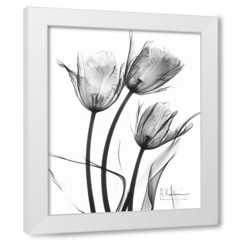 Tulip Arrangement in BandW White Modern Wood Framed Art Print by Koetsier, Albert