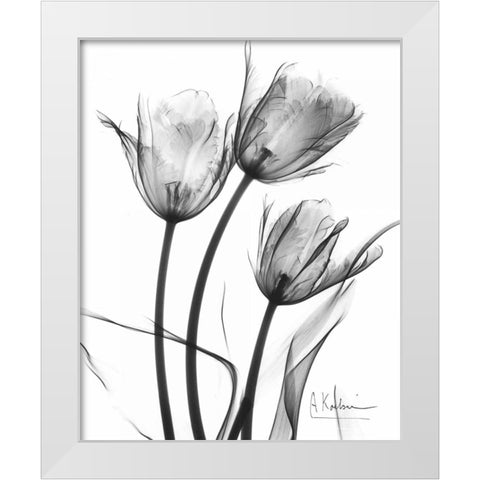 Tulip Arrangement in BandW White Modern Wood Framed Art Print by Koetsier, Albert