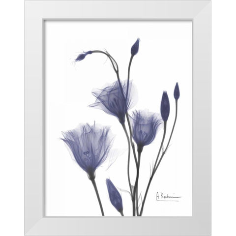 Gentian in Purple 2 White Modern Wood Framed Art Print by Koetsier, Albert