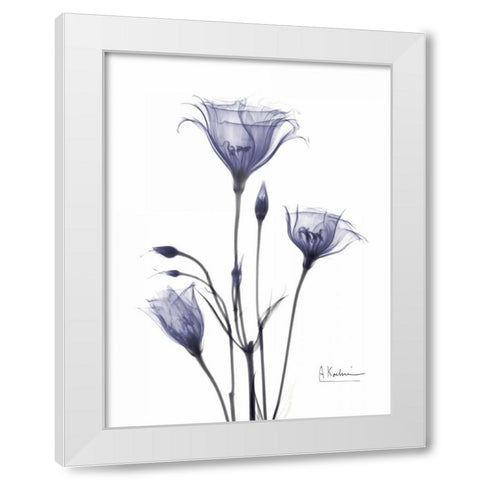Gentian in Purple White Modern Wood Framed Art Print by Koetsier, Albert