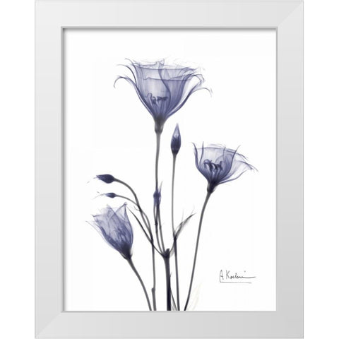 Gentian in Purple White Modern Wood Framed Art Print by Koetsier, Albert