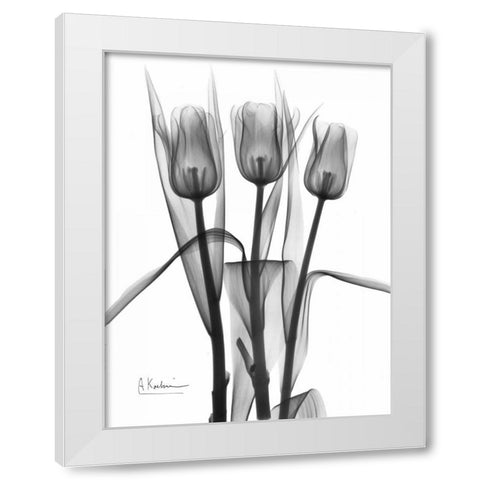 Triplet Tulips in BandW White Modern Wood Framed Art Print by Koetsier, Albert