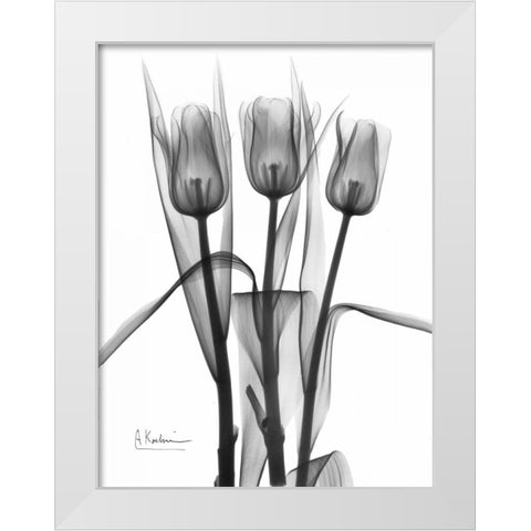 Triplet Tulips in BandW White Modern Wood Framed Art Print by Koetsier, Albert