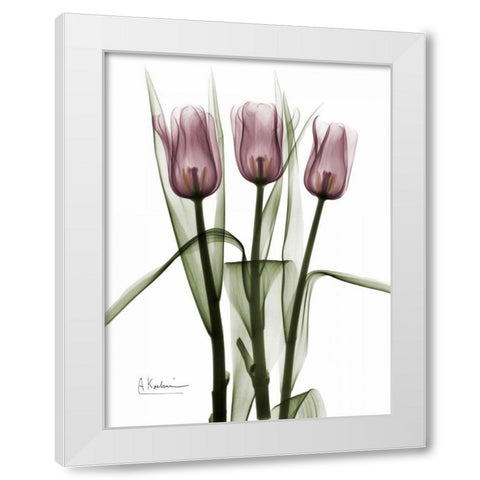 Triplet Tulips in Color White Modern Wood Framed Art Print by Koetsier, Albert