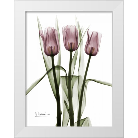 Triplet Tulips in Color White Modern Wood Framed Art Print by Koetsier, Albert