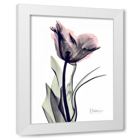 Single Tulip in Color White Modern Wood Framed Art Print by Koetsier, Albert