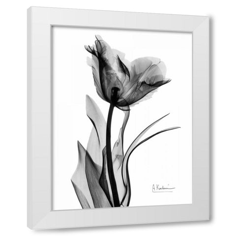 Single Tulip in BandW White Modern Wood Framed Art Print by Koetsier, Albert