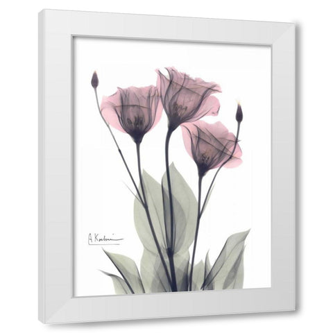 Three Gentian in Color White Modern Wood Framed Art Print by Koetsier, Albert