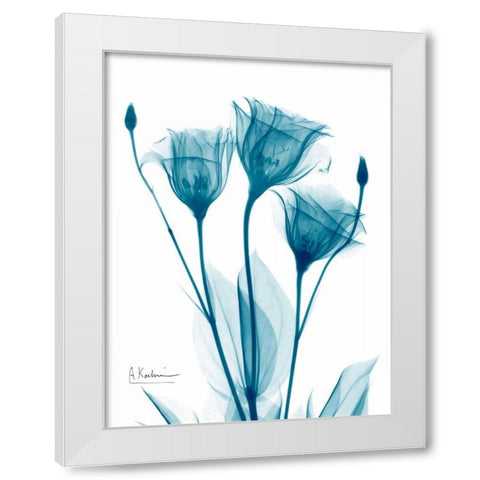 Three Gentian in Blue White Modern Wood Framed Art Print by Koetsier, Albert