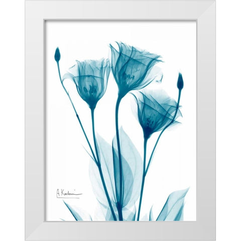 Three Gentian in Blue White Modern Wood Framed Art Print by Koetsier, Albert