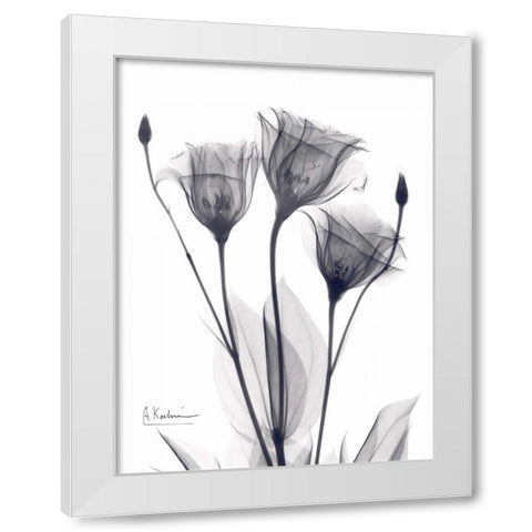 Three Gentian in BandW White Modern Wood Framed Art Print by Koetsier, Albert