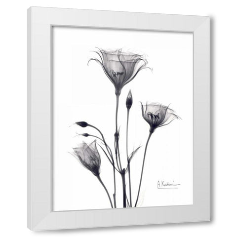 Bouquet of Gentian in BandW White Modern Wood Framed Art Print by Koetsier, Albert