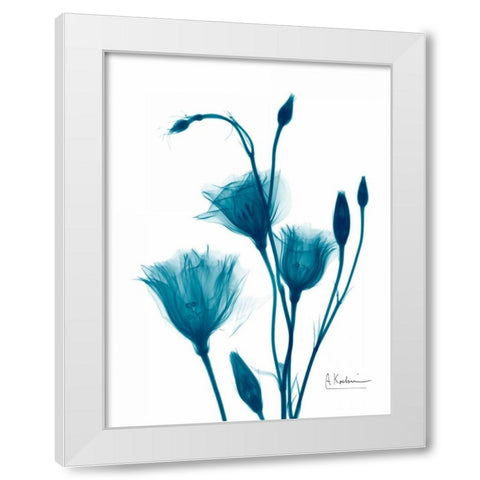 Bouquet of Gentian in Blue White Modern Wood Framed Art Print by Koetsier, Albert