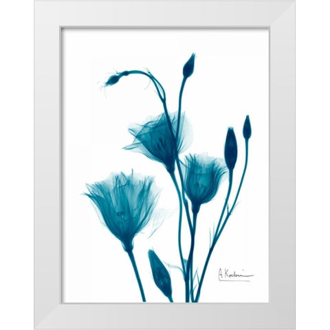 Bouquet of Gentian in Blue White Modern Wood Framed Art Print by Koetsier, Albert