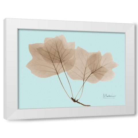 Tulip Tree in Brown on Blue White Modern Wood Framed Art Print by Koetsier, Albert