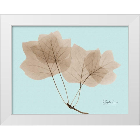 Tulip Tree in Brown on Blue White Modern Wood Framed Art Print by Koetsier, Albert