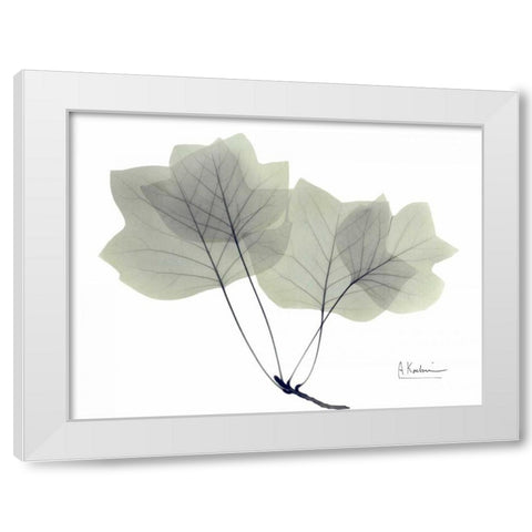 Tulip Tree in Green White Modern Wood Framed Art Print by Koetsier, Albert