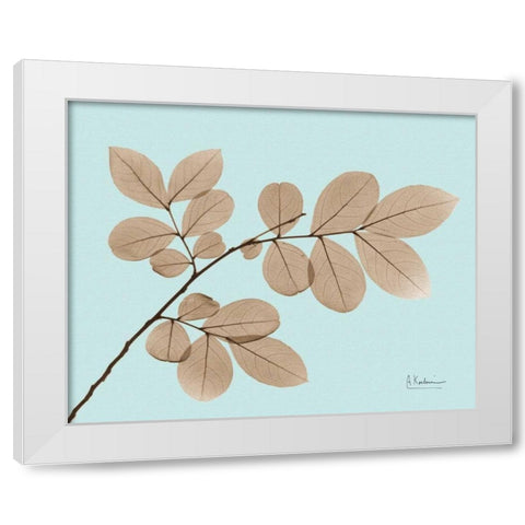 Myrtle Tree in Brown on Blue White Modern Wood Framed Art Print by Koetsier, Albert