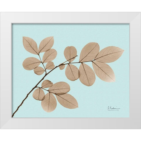 Myrtle Tree in Brown on Blue White Modern Wood Framed Art Print by Koetsier, Albert