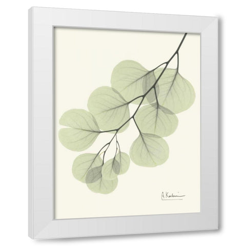 Eucalyptus Leaves in Green White Modern Wood Framed Art Print by Koetsier, Albert