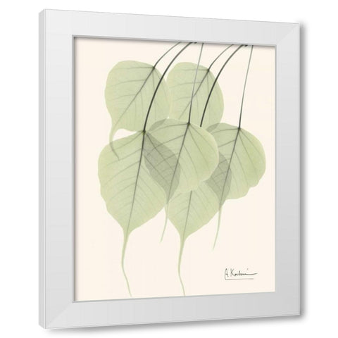 Bo Tree Leaves in Green White Modern Wood Framed Art Print by Koetsier, Albert