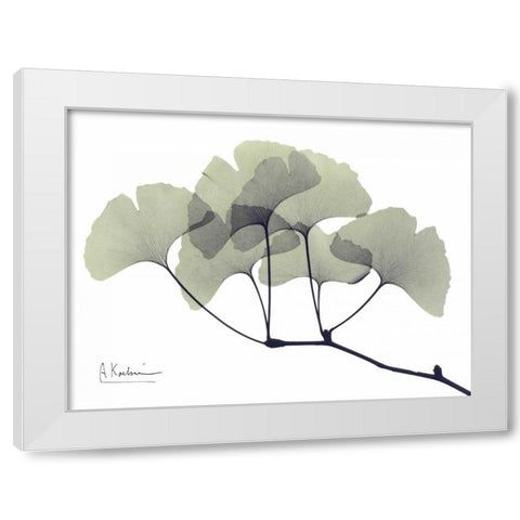 Gingko Leaves in Green White Modern Wood Framed Art Print by Koetsier, Albert